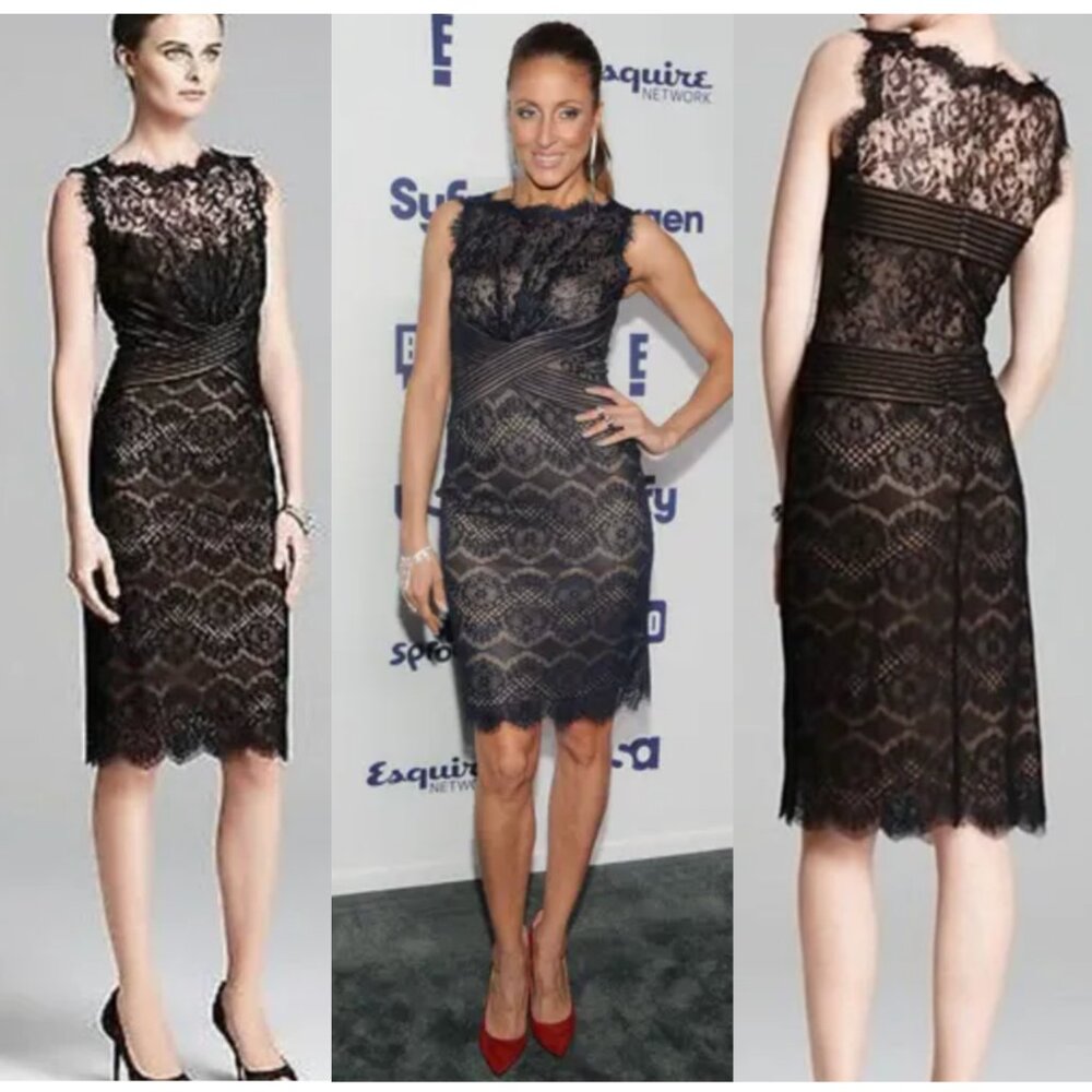 Tadashi Shoji Chantilly Lace Boatneck Sheath Midi Dress sz12 - Picture 4 of 16